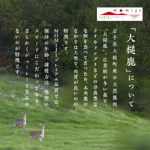 【失敗なし！焼くだけ簡単スパイシー】大槌鹿の山賊焼き 200g【やみつきの味】岩手県産 天然鹿 鹿肉 味付肉 山賊焼 ジビエ ヘルシー 低カロリー つまみ あて おかず ご飯のお供 赤身 冷凍 加工肉 ギフト