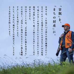 【失敗なし！焼くだけ簡単スパイシー】大槌鹿の山賊焼き 400g【やみつきの味】岩手県産 天然鹿 鹿肉 味付肉 山賊焼 ジビエ ヘルシー 低カロリー つまみ あて おかず ご飯のお供 赤身 冷凍 加工肉 ギフト