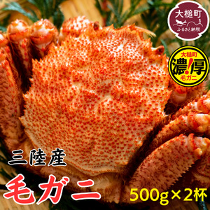 【令和8年発送】三陸産 三陸活毛ガニ 500g×2杯【2026年3月～4月発送】【05】