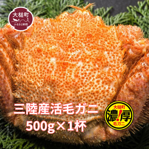 【期間限定！令和8年3月～4月発送】三陸産活毛ガニ 500g 【35】天然 国産 冷蔵 三陸 直送 濃厚 かに 蟹 カニ 毛ガニ 毛蟹 毛がに 初栄丸