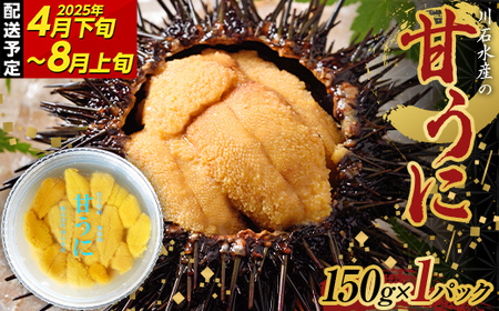 ≪2025年先行予約≫川石水産の甘うに150g×1パック【令和7年 4月下旬～8月上旬配送予定】【配送日指定不可】【沖縄・離島配送不可】三陸山田 山田町 海産品 無添加 ミョウバン不使用 ウニ 雲丹 海栗 YD-702