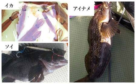 【岩手三陸山田】釣り船 邦栄丸 乗船券 1名～2名分 山田町 山田湾 釣り船 船釣り 体験 カレイ アイナメ ソイ イカ ワラサ マス タラ メガラ YD-687