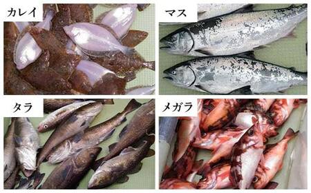 【岩手三陸山田】釣り船 邦栄丸 乗船券 4名分 山田町 山田湾 釣り船 船釣り 体験 カレイ アイナメ ソイ イカ ワラサ マス タラ メガラ YD-689