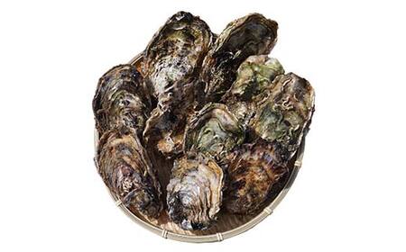 大福丸の殻付き牡蠣 10個 【三陸山田産】【沖縄・離島配送不可】三陸山田 山田町 山田湾 海産品 かき YD-720