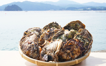 大福丸の殻付き牡蠣 20個 【三陸山田産】【沖縄・離島配送不可】三陸山田 山田町 山田湾 海産品 かき YD-721