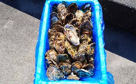 大福丸の殻付き牡蠣 30個 【三陸山田産】【沖縄・離島配送不可】三陸山田 山田町 山田湾 海産品 かき YD-722