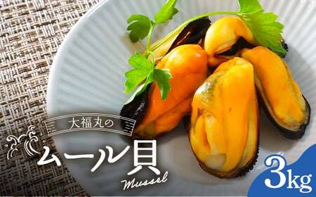 大福丸のムール貝 3kg【三陸山田産】【配送日指定不可】【沖縄・離島配送不可】三陸山田 山田町 山田湾 海産品 しゅうり貝 海鮮 シーフード おつまみ 殻付き 酒蒸し パスタ パエリア ワイン蒸し YD-762
