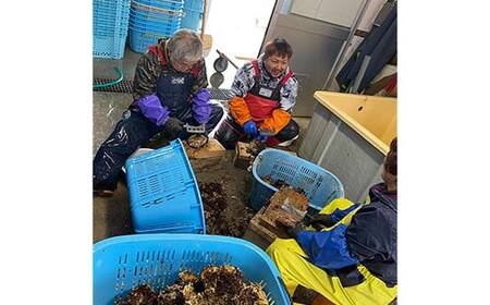 大福丸のムール貝 3kg【三陸山田産】【配送日指定不可】【沖縄・離島配送不可】三陸山田 山田町 山田湾 海産品 しゅうり貝 海鮮 シーフード おつまみ 殻付き 酒蒸し パスタ パエリア ワイン蒸し YD-762