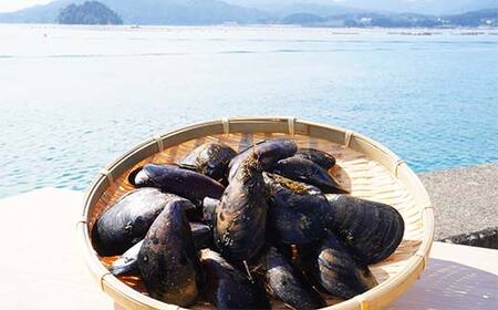 大福丸のムール貝 3kg【三陸山田産】【配送日指定不可】【沖縄・離島配送不可】三陸山田 山田町 山田湾 海産品 しゅうり貝 海鮮 シーフード おつまみ 殻付き 酒蒸し パスタ パエリア ワイン蒸し YD-762