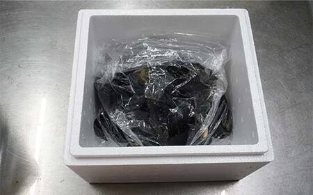 【DayDayで紹介されました！】ケッツラゲーおじさんのムール貝 1kg 【沖縄・離島配送不可】 三陸山田産 山田町 しゅうり貝 山田湾 ワイン蒸し パスタトッピング 二枚貝 YD-800