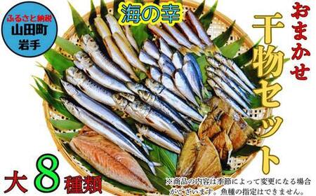 おまかせ干物セット（大）【大和水産】三陸山田 山田町 魚 魚介 干物 おかず 夕飯 詰合せ カワハギ アジ メアジ チダイ サバ イワシ サンマ タラ カレイ ムツ YD-833