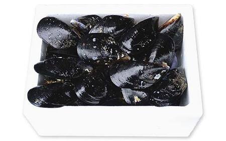 明神丸かき・ほたてきちのムール貝 2kg 【沖縄県・離島配送不可】 三陸山田 山田町 しゅうり貝 海産品 山田産 山田湾 YD-883