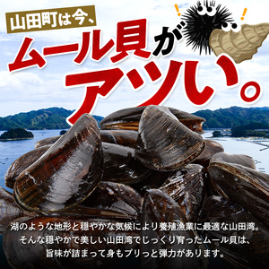 明神丸かき・ほたてきちのムール貝 2kg 【沖縄県・離島配送不可】 三陸山田 山田町 しゅうり貝 海産品 山田産 山田湾 YD-883