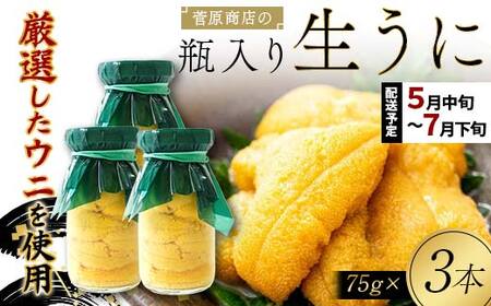 【発祥の地】【牛乳瓶入り生うに】【2026年5月中旬以降発送 】菅原商店 生うに 75g×3本 国産 三陸山田 岩手県 山田町 三陸 旬 うに 牛乳瓶 無添加 ウニ 雲丹 うに丼 無添加ウニ キタムラサキウニ 特選 ミョウバン不使用 YD-923