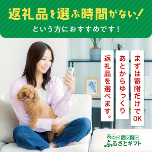 あとからセレクト【ふるさとギフト】寄附9,000円相当  YAS005