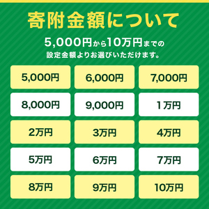 あとからセレクト【ふるさとギフト】寄附9,000円相当  YAS005