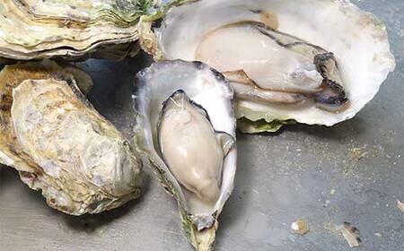 蒸し焼き剥き身牡蠣250g×2袋 かき カキ 海産品 冷凍牡蠣 かき小屋 蒸し牡蠣 三陸山田 山田町 YD-1042