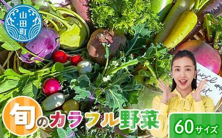 ≪先行予約≫【2026年5月中旬～発送開始！】 カラフルファムの旬のカラフル野菜 60 サイズ 無農薬 減農薬 詰合せ お弁当 食卓 おかず 新鮮野菜 三陸山田 山田町 山田産野菜 YD-1017