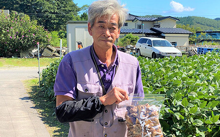 勝山さんの乾燥椎茸400g（ミックスサイズ）岩手県山田町 三陸山田 岩手三陸 椎茸 しいたけ 原木 野菜 きのこ YD-848