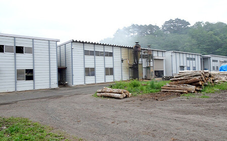 スモークチップ 5種詰め合わせ（サクラ・ナラ・オニグルミ・リンゴ・ブナ）YD-478