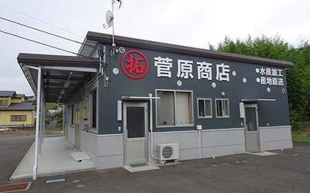 岩手県 菅原商店 うにと塩だけで作る 塩うに 100g YD-578