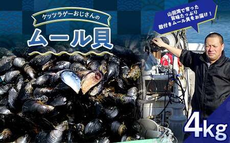 ケッツラゲーおじさんのムール貝 4kg しゅうり貝 【沖縄県・離島配送不可　配送日指定不可】 YD-620