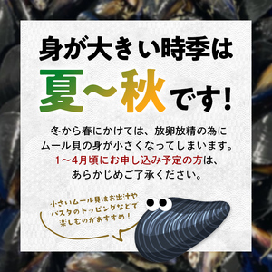 ケッツラゲーおじさんのムール貝 4kg しゅうり貝 【配送日指定不可