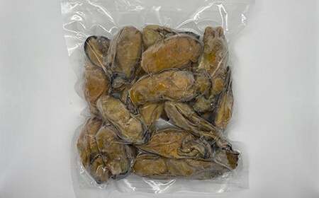 【訳あり】山田の特大牡蠣くん 約500g YD-535