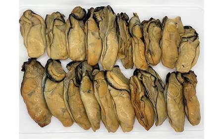 【訳あり】山田の特大牡蠣くん 約500g YD-535