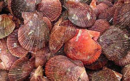 山田のあかちゃん（小瓶）3本 三陸山田 山田町 山田産 赤皿貝 ２枚貝 燻製 オリーブオイル YD-992