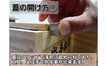 【2024年先行予約】三陸山田産 高級松茸 1本入り 【配送日指定不可】 秋の味覚 三陸山田産松茸 三陸山田 山田町 まつたけ マツタケ 野菜 山田産野菜 【ベルアクト】 YD-684