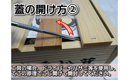 【2024年先行予約】三陸山田産 高級松茸 1本入り 【配送日指定不可】 秋の味覚 三陸山田産松茸 三陸山田 山田町 まつたけ マツタケ 野菜 山田産野菜 【ベルアクト】 YD-684