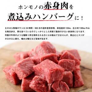なかほら牧場の煮込みハンバーグ5個セット_肉 ハンバーグ 牛肉 _【配送不可地域：離島】【1324166】