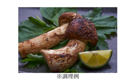 【2026秋発送】岩泉まつたけ 直送 1kg_野菜 松茸 きのこ まつたけ マツタケ_【配送不可地域：離島】【1423373】