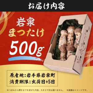 【2026秋発送】岩泉まつたけ 直送 500g_野菜 松茸 きのこ まつたけ マツタケ_【配送不可地域:離島】【1423376】