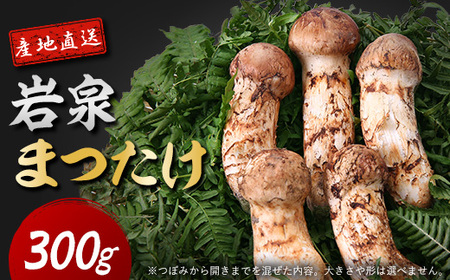 【2026秋発送】岩泉まつたけ 直送 300g_野菜 松茸 きのこ まつたけ マツタケ_【配送不可地域：離島】【1423380】