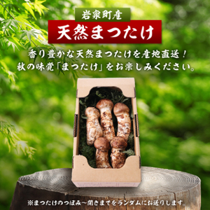 【2026秋発送】岩泉まつたけ 直送 300g_野菜 松茸 きのこ まつたけ マツタケ_【配送不可地域：離島】【1423380】