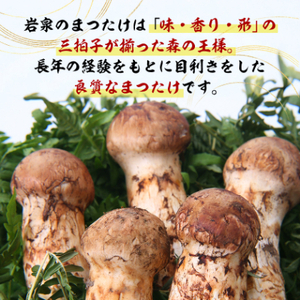 【2026秋発送】岩泉まつたけ 直送 300g_野菜 松茸 きのこ まつたけ マツタケ_【配送不可地域：離島】【1423380】