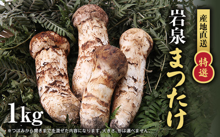 【2026秋発送】【特選】岩泉まつたけ 直送 1kg_野菜 松茸 きのこ まつたけ マツタケ_【配送不可地域：離島】【1423383】