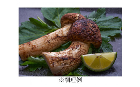 【2026秋発送】【特選】岩泉まつたけ 直送 1kg_野菜 松茸 きのこ まつたけ マツタケ_【配送不可地域：離島】【1423383】
