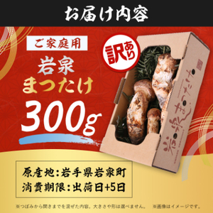 【2026秋発送】【訳あり】ご家庭用 岩泉まつたけ 直送 300g_野菜 松茸 きのこ まつたけ マツタケ_【配送不可地域：離島】【1423400】