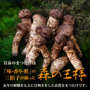 岩手マツタケ 約300g 数量限定【訳あり】 国産松茸 岩手県産 松茸 おまかせ 300g | 岩手県