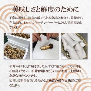 【2024年9月中旬～10月中旬発送予定】松茸マイスター厳選!旬の岩泉産松茸　150g(前後)【配送不可地域：離島】【1516080】