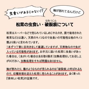 【2024年9月中旬～10月中旬発送予定】松茸マイスター厳選!旬の岩泉産松茸　150g(前後)【配送不可地域：離島】【1516080】