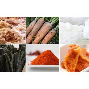 つるしこ盛岡冷麺[うま塩]セット 6食入_麺   _【配送不可地域：離島】【1529422】