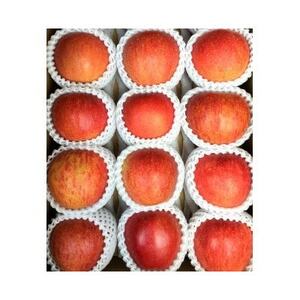 岩手県岩泉町産りんご サンふじ(5キロ:約12個)_果物・フルーツ りんご リンゴ 林檎_【1575918】