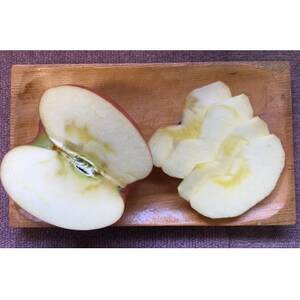 岩手県岩泉町産りんご サンふじ(5キロ:約12個)_果物・フルーツ りんご リンゴ 林檎_【1575918】