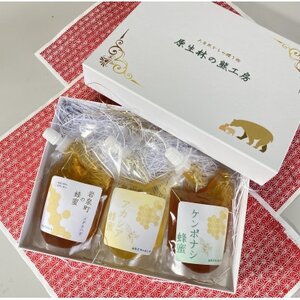 岩手県岩泉町産　イタチハギ・アカシア・ケンポナシ蜂蜜のセット　200g×各1袋(計600g)_調味料 はちみつ  ハチミツ 蜂蜜_【1587974】