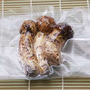 岩手県岩泉町産 冷凍岩泉まつたけ　100g×1パック_野菜 松茸 きのこ まつたけ マツタケ_【配送不可地域：離島】【1604734】