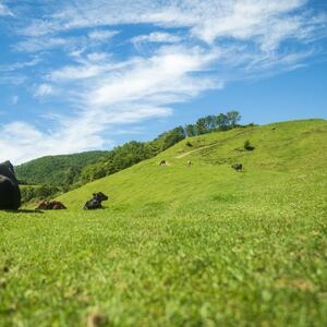 なかほら牧場 グラスフェッドビーフ(粗挽き)・グラスフェッドバターのセット【配送不可地域：離島】【1624028】